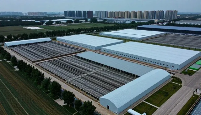 系统集成中常见问题及应对策略解析